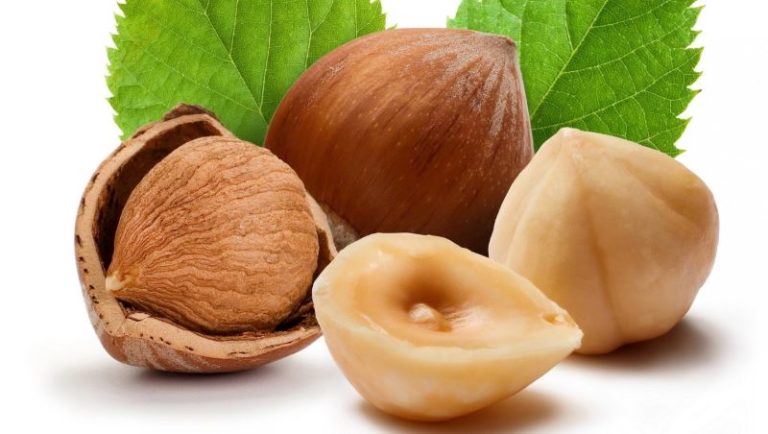 Nocciole: proprietà, benefici, valori nutrizionali, calorie, uso e controindicazioni. Scopri le proprietà delle nocciole, i benefici per la salute, gli usi in cucina o come rimedio naturale, le controindicazioni e gli effetti collaterali.