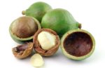 Noci di Macadamia: proprietà, benefici, uso, valori nutrizionali, calorie e controindicazioni