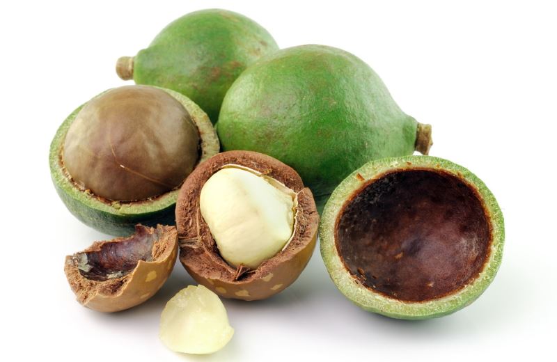 Noci di Macadamia: proprietà, benefici, uso, valori nutrizionali, calorie e controindicazioni. Scopri le proprietà delle noci di macadamia, i benefici per la salute, gli usi in cucina o come rimedio naturale, le controindicazioni e gli effetti collaterali.