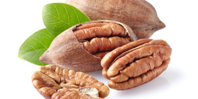 Noci Pecan: proprietà, benefici, valori nutrizionali uso e controindicazioni