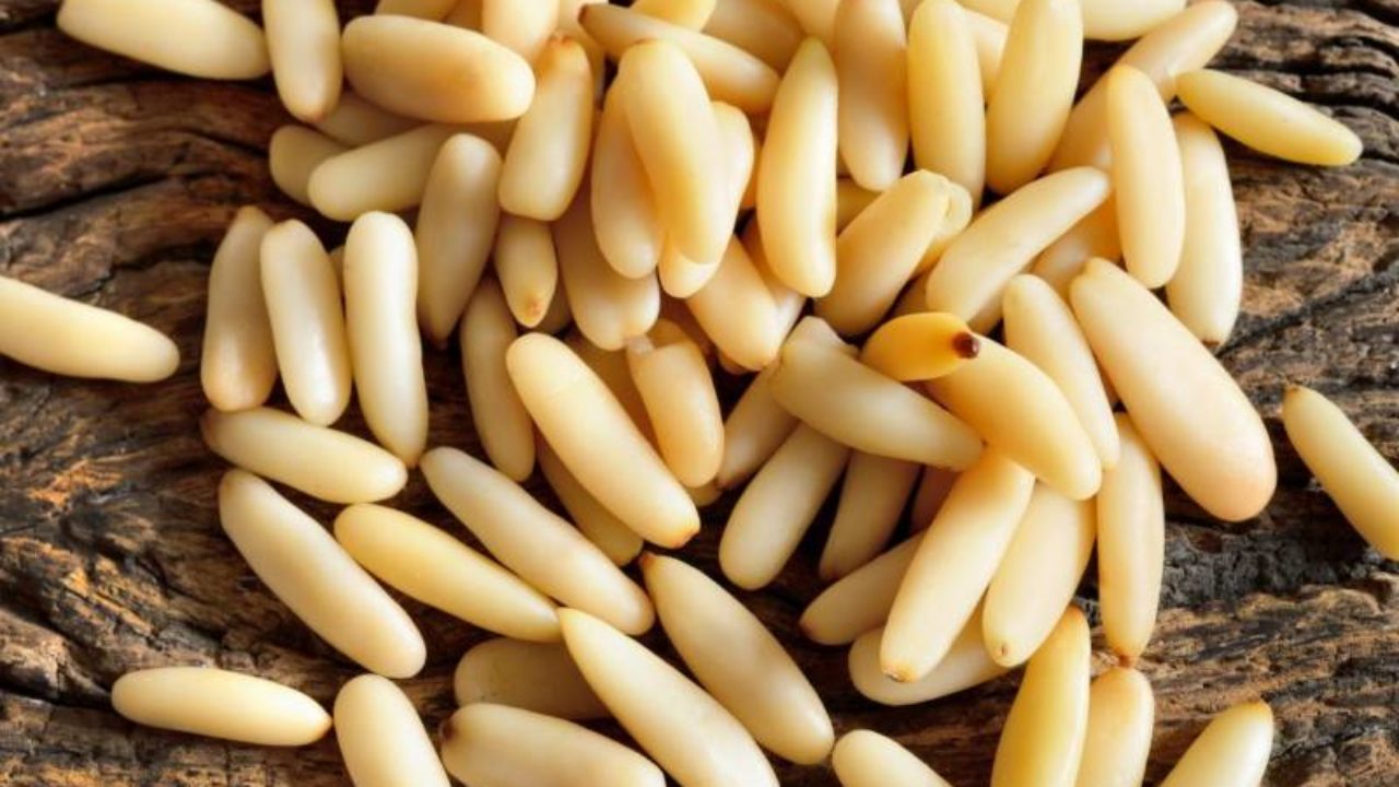 Pinoli I Scelta Italiani 1kg Olivar Fisch Ingrosso E Dettaglio Di Prodotti Alimentari