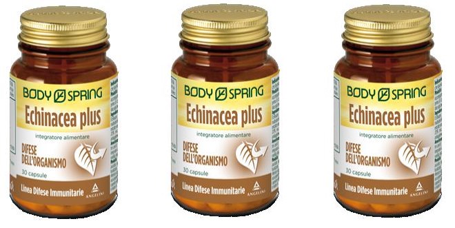 Echinacea Plus: foglietto illustrativo, a cosa serve, controindicazioni, effetti collaterali. Echinacea Plus è un integratore naturale che rafforza il sistema immunitario per prevenire e curare i malanni di stagione.