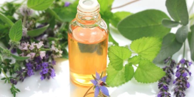 Olio Di Borragine Proprietà Benefici Uso A Cosa Serve E