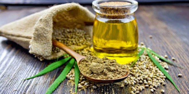 Olio Di Canapa Proprietà Benefici Uso E Controindicazioni