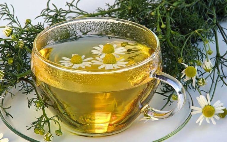 Tisane rilassanti fai da te contro ansia, nervosismo e stress