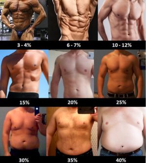 Come stimare la percentuale di massa grassa da un esame visuale nell'uomo