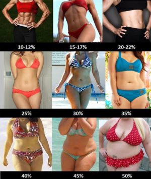 Come stimare la percentuale di massa grassa da un esame visivo nella donna