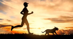 Correre con il cane