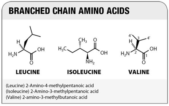 Integratori di Aminoacidi Ramificati BCAA ( Leucina, Isoleucina e Valina) . Cosa sono, a cosa servono e quando integrare gli aminoacidi ramificati, indicazioni e controindicazioni.