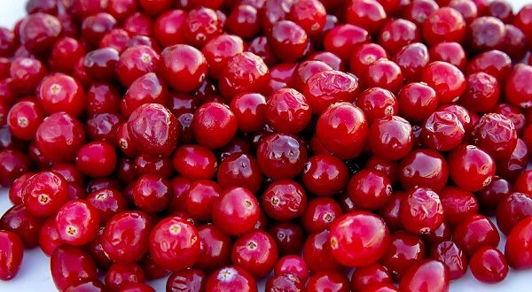 il succo di mirtillo rosso viene utilizzato per perdere peso