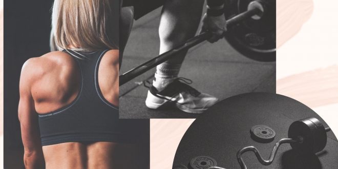 ATTREZZI USATI PER LO SPORT: nomi e funzioni delle maggiori attrezzature da palestra tra strumenti utili e macchinari.