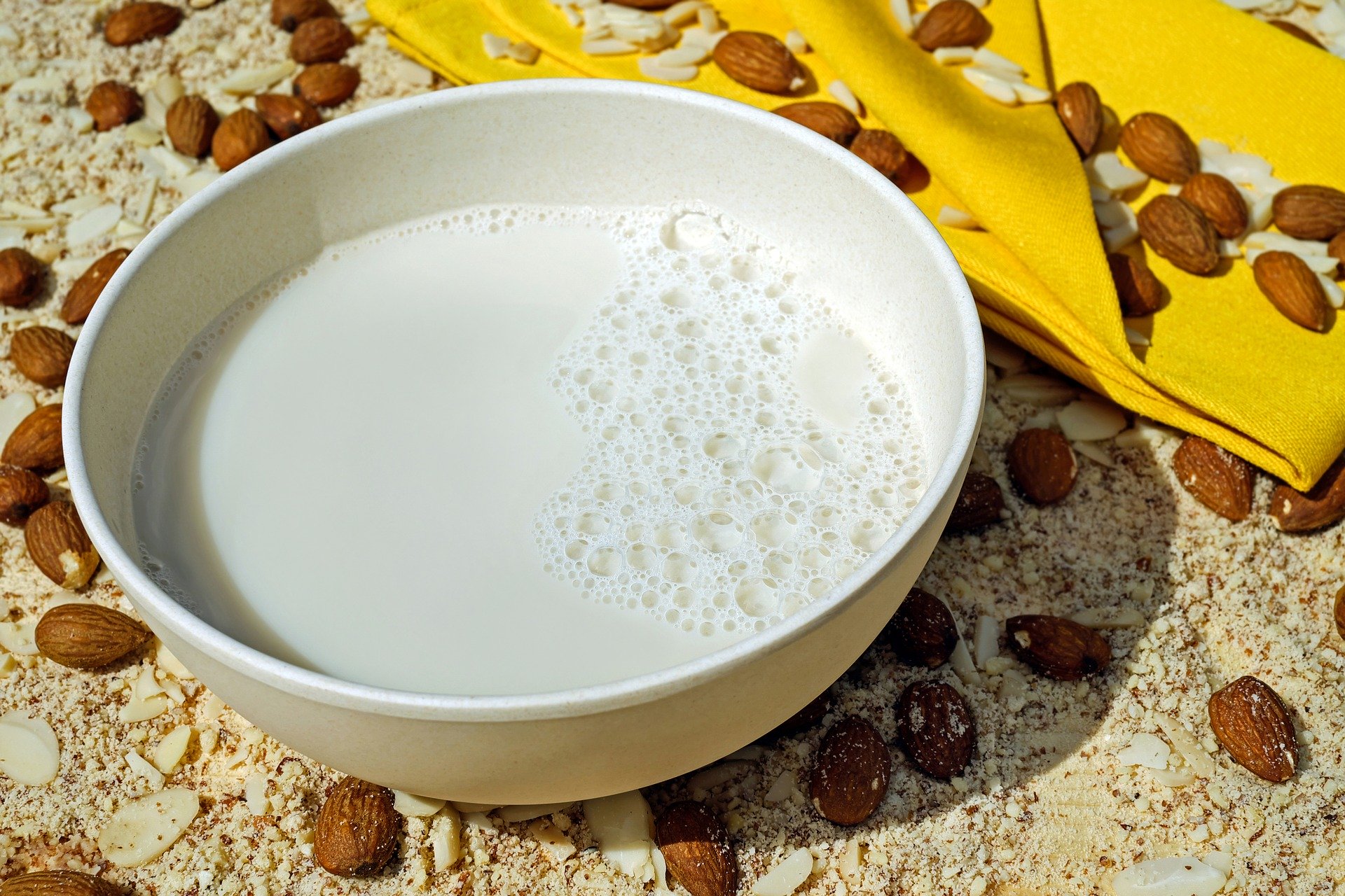 Latte vegetale fai da te: 8 esempi di latte estratto da frutta secca e altri vegetali
