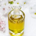 Olio di Argan: cos’è, a cosa serve, benefici e le migliori offerte per comprarlo online.