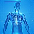 Quali sono le posture scorrette della schiena, cause, conseguenze e inestetismi: cifosi, scoliosi e lordosi e rimedi per correggere la postura