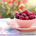 Come coltivare ciliegie in giardino o in vaso. Come piantare, potare e curare il ciliegio