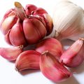 Aglio rosso di Sulmona: i Presìdi Slow Food, che cos’è, proprietà e benefici, come cucinarlo