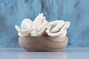 fungo Pleurotus